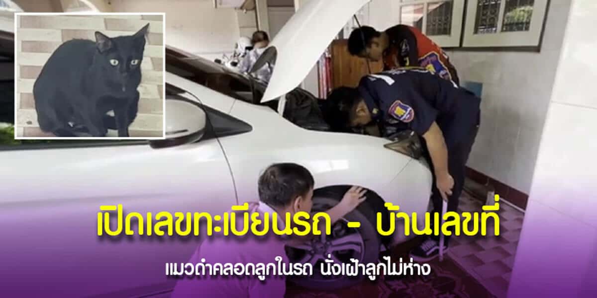 เปิดเลขทะเบียนรถ บ้านเลขที่